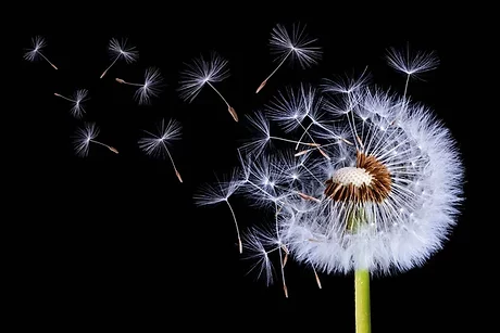 naturopathe,naturopathe formation,naturopathe définition, naturopathe paris, naturopathe salaire, naturopathe dangereux, naturopathe animalier, naturopathe def, naturopathe lille, homéopathe uniciste, naturopathe tarif, naturopathe doctolib, naturopathe c'est quoi, naturopathe metier, naturopathe tours, naturopathe etude, naturopathe avis, naturopathe amiens, naturopathe fertilité, naturopathe perte de poids, naturopathe holistique, naturopathe iridologue, naturopathe formation prix, naturopathe endometriose, naturopathe pour maigrir, naturopathe arras, naturopathe et perte de poids, naturopathe remboursement, naturopathe en ligne, naturopathe nutritionniste, naturopathe, naturopathe prix, naturopathe valenciennes, naturopathe formation reconnue, naturopathe diplome, naturopathe reflexologue, naturopathe oise, naturopathe villeneuve d'ascq, naturopathe grossesse, naturopathe calais, que prescrit un naturopathe, naturopathe wikipedia, naturopathe dunkerque, naturopathe qu'est ce que c'est, naturopathe pour animaux, naturopathe douai, naturopathe formation cpf, naturopathe à domicile, naturopathe thyroide, naturopathe rncp, naturopathe et cancer, naturopathe en anglais, naturopathe cambrai, naturopathe medecin, naturopathe hygiéniste, naturopathe saint omer, naturopathe emploi, naturopathe hazebrouck, naturopathe offre emploi, naturopathe intestin irritable, naturopathe boulogne sur mer, naturopathe 94, naturopathe et arthrose, naturopathe roubaix, naturopathe iridologie, naturopathe 22, naturopathe et acné, naturopathe a distance, naturopathe 93, naturopathe tourcoing, naturopathe yonne, naturopathe à proximité, naturopathe 62400, naturopathe bethune, naturopathe nord pas de calais, qu'est ce que naturopathe, naturopathe nord, naturopathe pas de calais, naturopathe laon, naturopathe lens, naturopathe youtube, naturopathe et depression, naturopathe 02 , naturopathe pour maigrir avis, naturopathe richebourg, naturopathe ussel, naturopathe croix, naturopathe lambersart, naturopathe quantique, naturopathe 82, naturopathe kinesiologue, naturopathe onisep, naturopathe uriage, naturopathe, maigrir avec naturopathe, pourquoi voir un naturopathe, naturopathe instagram",naturopathe 59, naturopathe 62, naturopathe uzerche, naturopathe lomme, naturopathe sans diplome, naturopathe montreuil sur mer, naturopathe ou phytothérapeute, naturopathe veterinaire, naturopathe pour tomber enceinte, naturopathe a quoi ca sert, naturopathe ou nutritionniste, pourquoi devenir naturopathe, naturopathe iridologue avis, naturopathe amiens avis, naturopathe, naturopathe et sophrologue, naturopathe formation duree, naturopathe pres de chez moi, naturopathe pour chat, naturopathe ou sophrologue, naturopathe hem, naturopathe royan xavier, naturopathe quel diplome, naturopathe vegan, naturopathe gouvieux, naturopathe noyon, naturopathe armentieres, naturopathe proces, naturopathe ou homéopathe, naturopathe, naturopathe que fait il ,naturopathe pour animaux formation, naturopathe, naturopathe à yaoundé, naturopathe, naturopathe à tours, naturopathe, naturopathe comment devenir, naturopathe ou naturothérapeute, c quoi naturopathe, naturopathe wasquehal, naturopathe henin beaumont, naturopathe HDF, naturopathe hdf, naturopathe école synergie, école synergie naturopathe, naturopathe hauts de france, naturopathe tournai, naturopathe sans frontière, naturopathe, naturopathe bergues, qui peut devenir naturopathe, naturopathe que soigne t il, naturopathe irene
